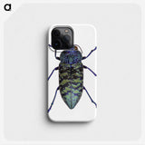 1-27_Insects-Unlocked-Project_phone