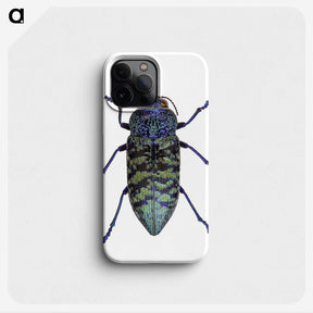 1-27_Insects-Unlocked-Project_phone