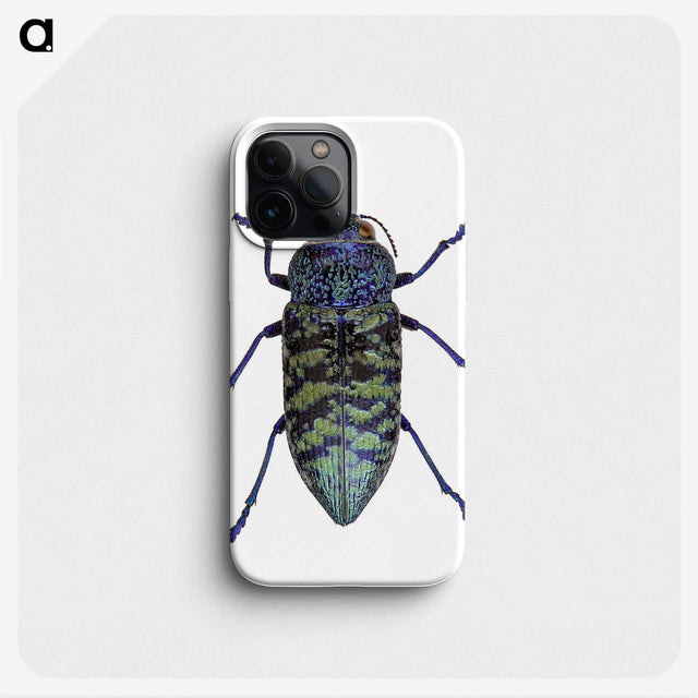 1-27_Insects-Unlocked-Project_phone