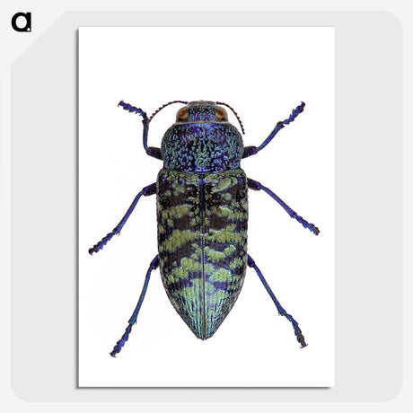 1-27_Insects-Unlocked-Project_picture-crop