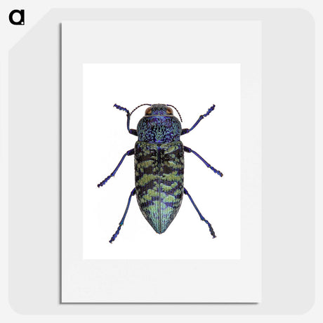 1-27_Insects-Unlocked-Project_picture