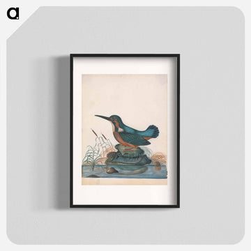 Anna Blackburne's Natural History Cabinet
 - ジェームズ ボルトン Poster.