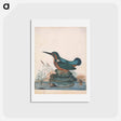 アートポストカード-Anna Blackburne's Natural History Cabinet
 - ジェームズ ボルトン Postcard.
