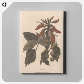 1-27_James-Heath_canvas