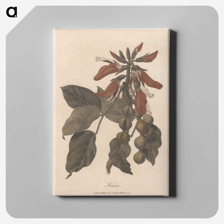 1-27_James-Heath_canvas