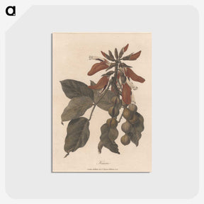 1-27_James-Heath_postcard