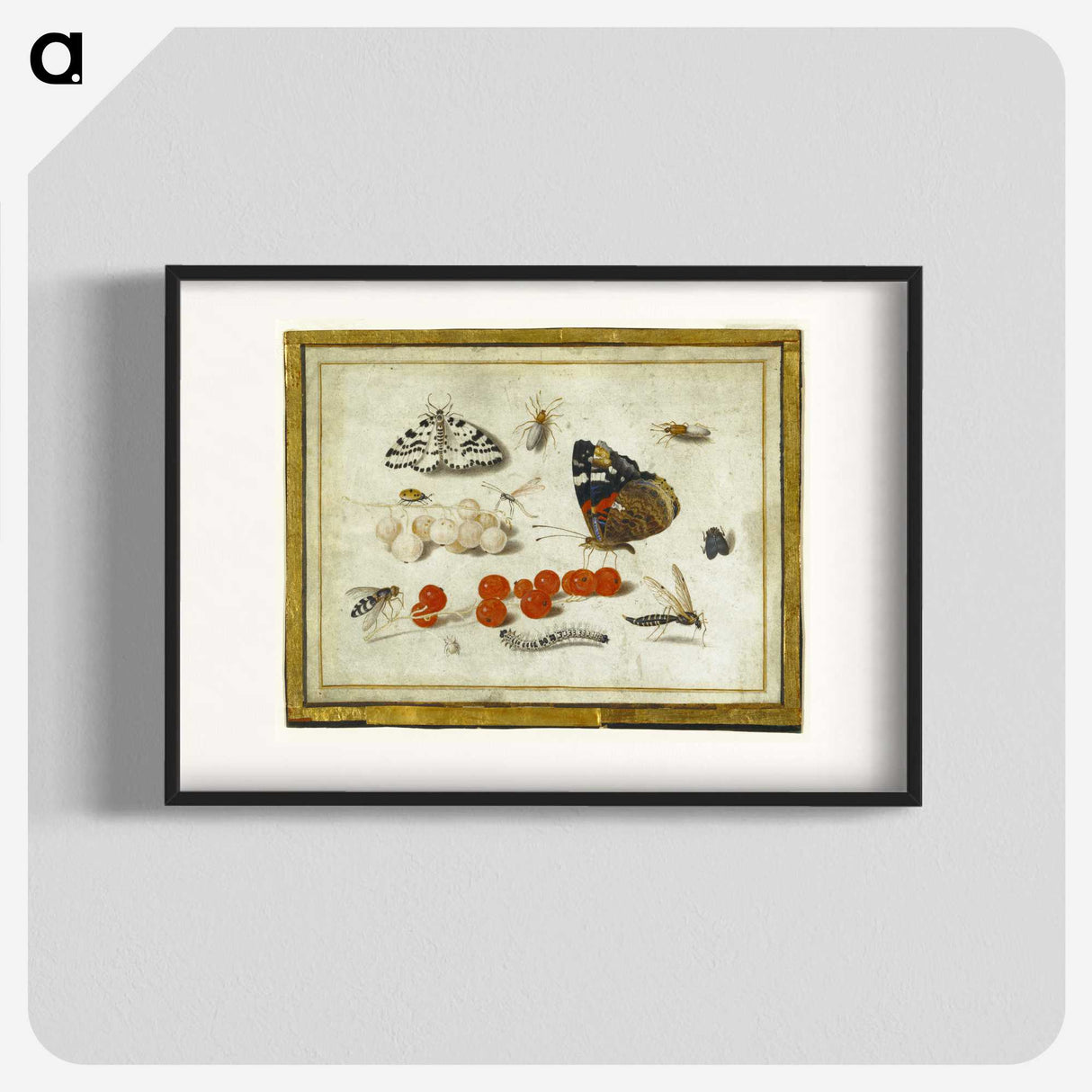 1-27_Jan-Van-Kessel_blk