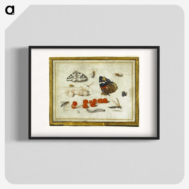 1-27_Jan-Van-Kessel_blk