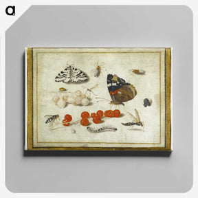 1-27_Jan-Van-Kessel_canvas