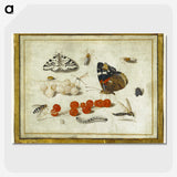 1-27_Jan-Van-Kessel_picture-crop
