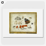 1-27_Jan-Van-Kessel_picture
