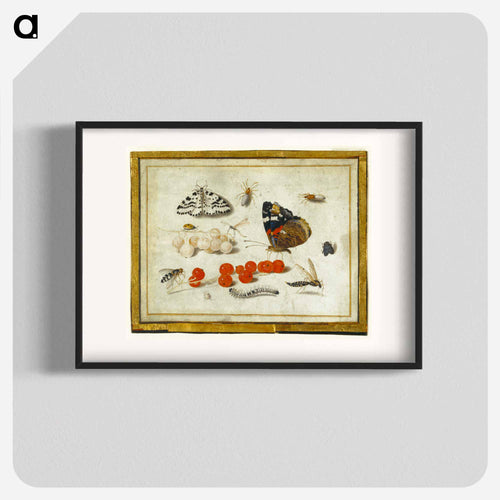 Butterflies, Insects, and Currants
 - ヤン ファン ケッセル Poster.