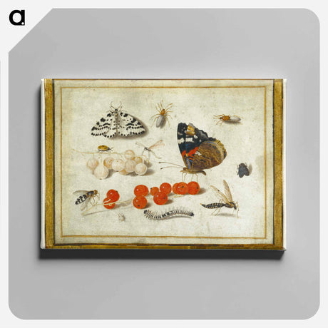 アートパネル-Butterflies, Insects, and Currants
 - ヤン ファン ケッセル Canvas.