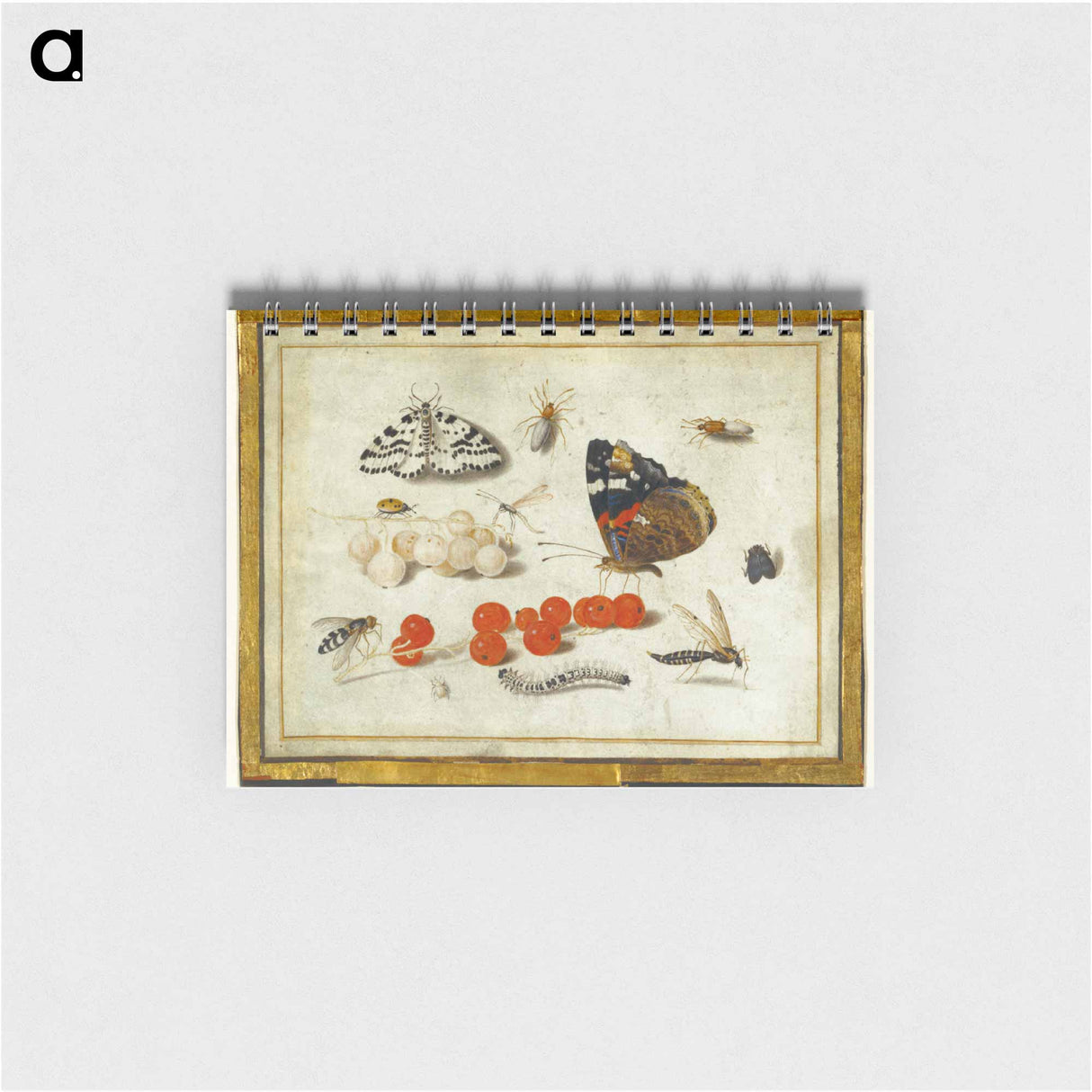 アートメモ帳-Butterflies, Insects, and Currants
 - ヤン ファン ケッセル Memo.