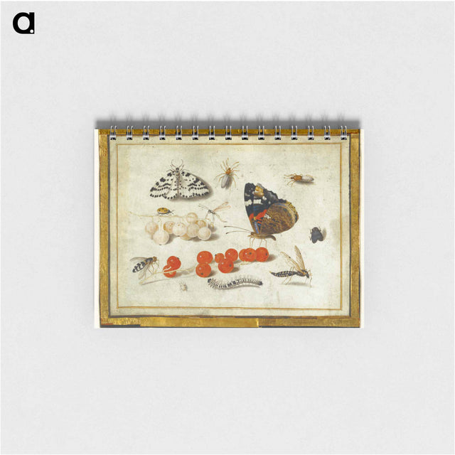 アートメモ帳-Butterflies, Insects, and Currants
 - ヤン ファン ケッセル Memo.