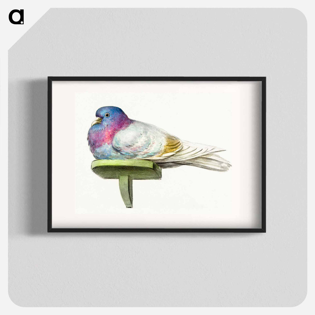 Pigeon sitting on a shelf - ジャン ベルナール Poster.