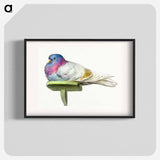 Pigeon sitting on a shelf - ジャン ベルナール Poster.