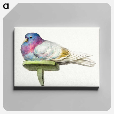 アートパネル-Pigeon sitting on a shelf - ジャン ベルナール Canvas.