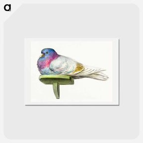 アートポストカード-Pigeon sitting on a shelf - ジャン ベルナール Postcard.