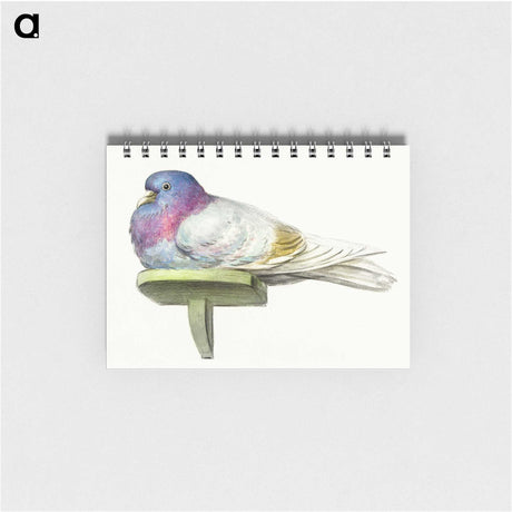 1-27_Jean-Bernard_memo