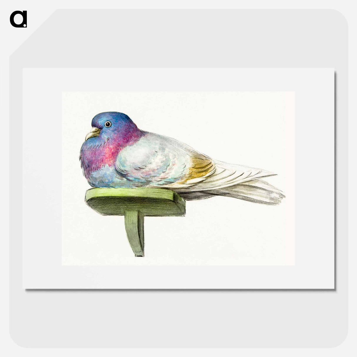 Pigeon sitting on a shelf - ジャン ベルナール Poster.