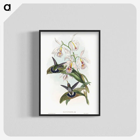1-27_John-Gould_blk-crop
