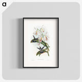 1-27_John-Gould_blk
