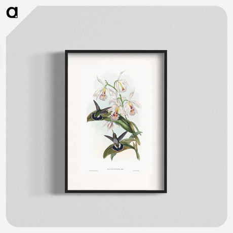 1-27_John-Gould_blk