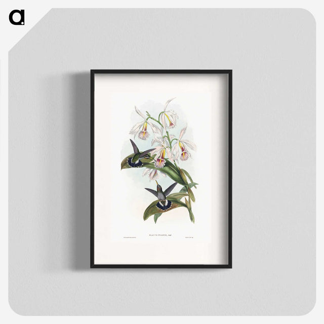 1-27_John-Gould_blk