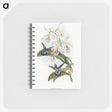 1-27_John-Gould_memo