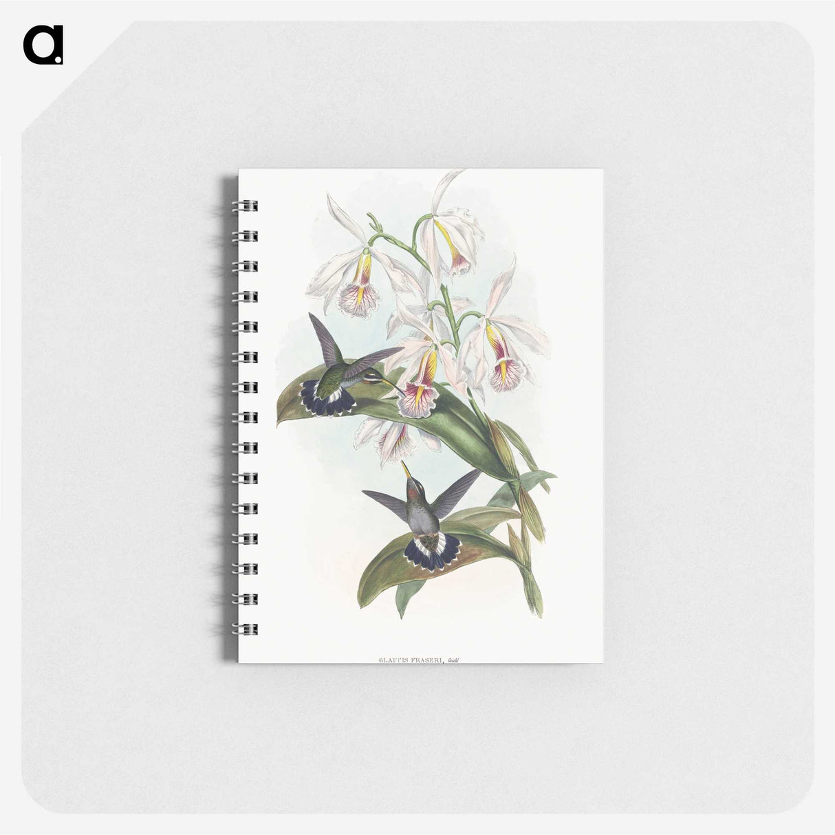 1-27_John-Gould_memo