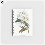 1-27_John-Gould_memo