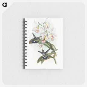 1-27_John-Gould_memo