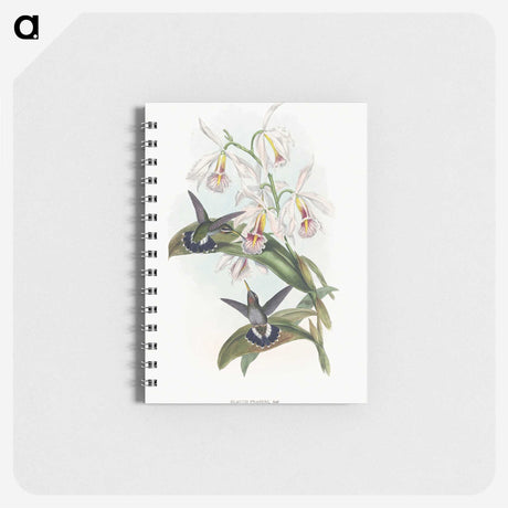 1-27_John-Gould_memo