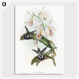 1-27_John-Gould_picture-crop