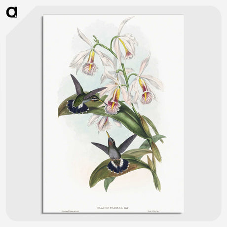 1-27_John-Gould_picture-crop