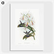 1-27_John-Gould_picture