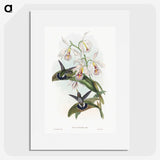 1-27_John-Gould_picture