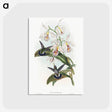 1-27_John-Gould_postcard