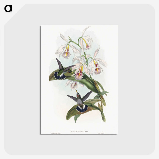 1-27_John-Gould_postcard