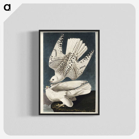 1-27_John-James-Audubon_blk-crop