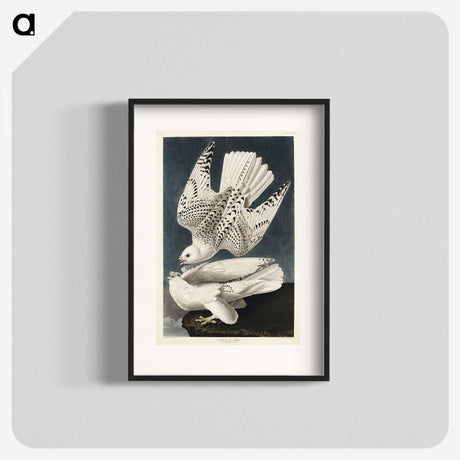1-27_John-James-Audubon_blk