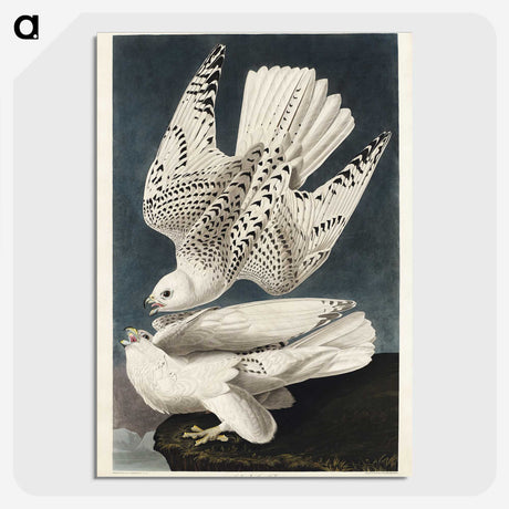 1-27_John-James-Audubon_picture-crop
