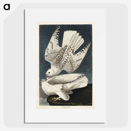 1-27_John-James-Audubon_picture