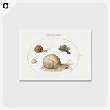 1-27_Joris-Hoefnagel_hagaki