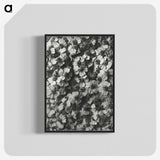 1-27_Karl-Blossfeldt_blk-crop