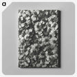 1-27_Karl-Blossfeldt_canvas