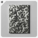 1-27_Karl-Blossfeldt_canvas