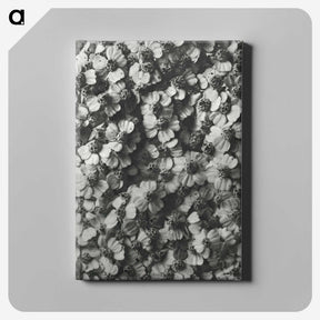 1-27_Karl-Blossfeldt_canvas