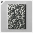 アートパネル-Achillea Millefolium - カール ブロスフェルト Canvas.